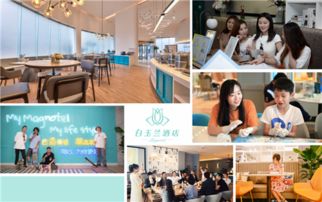 坚持与消费者共频 白玉兰品牌第五十家酒店华丽绽放的运营之道